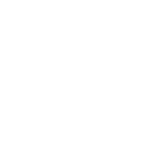 wordpress.png
